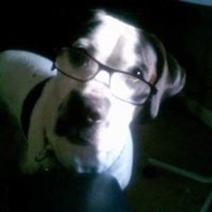 angienelsonryleesmom avatar