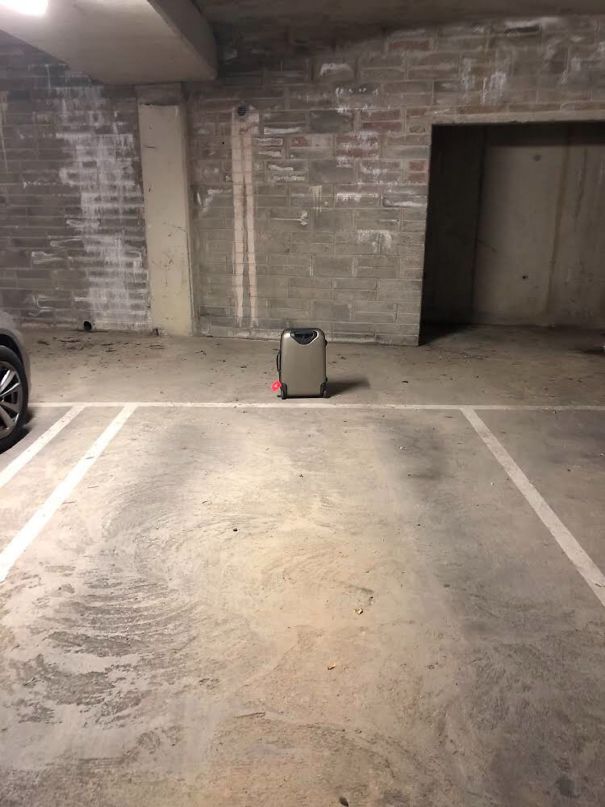 So, Looks Like My Neighbors Planned A Long Weekend Away