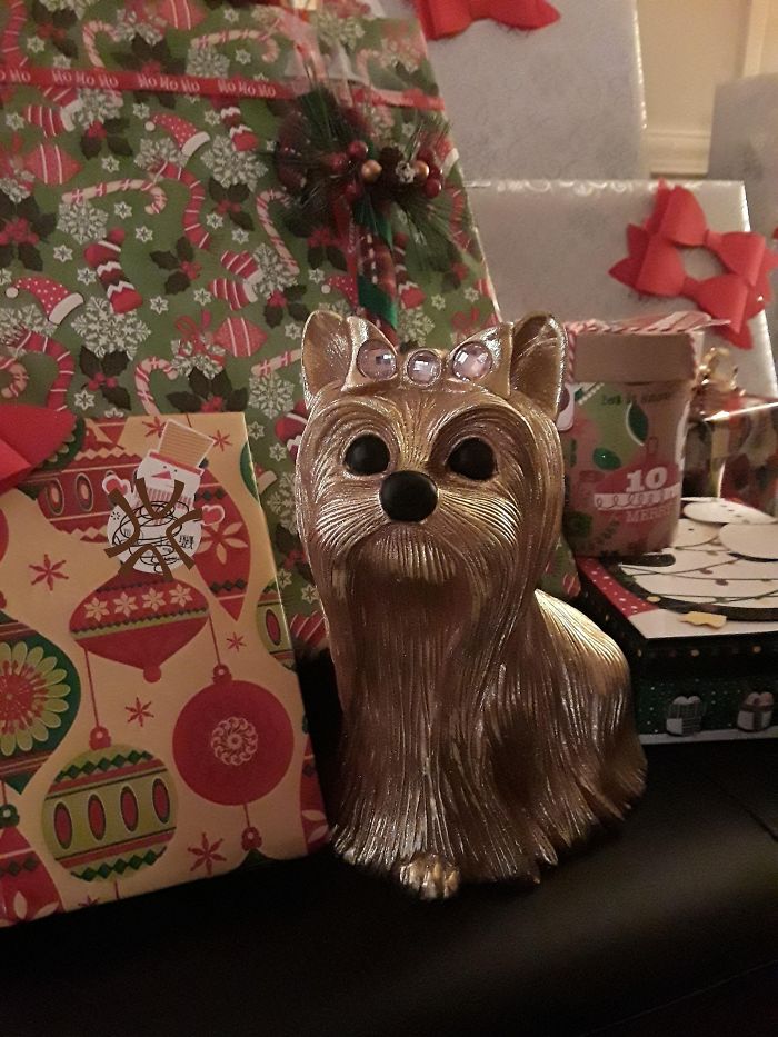 I Asked For A Puppy. Meet My Christmas Eve Gift, Fifi