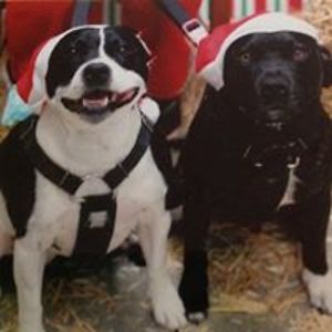 josephinegriffin avatar