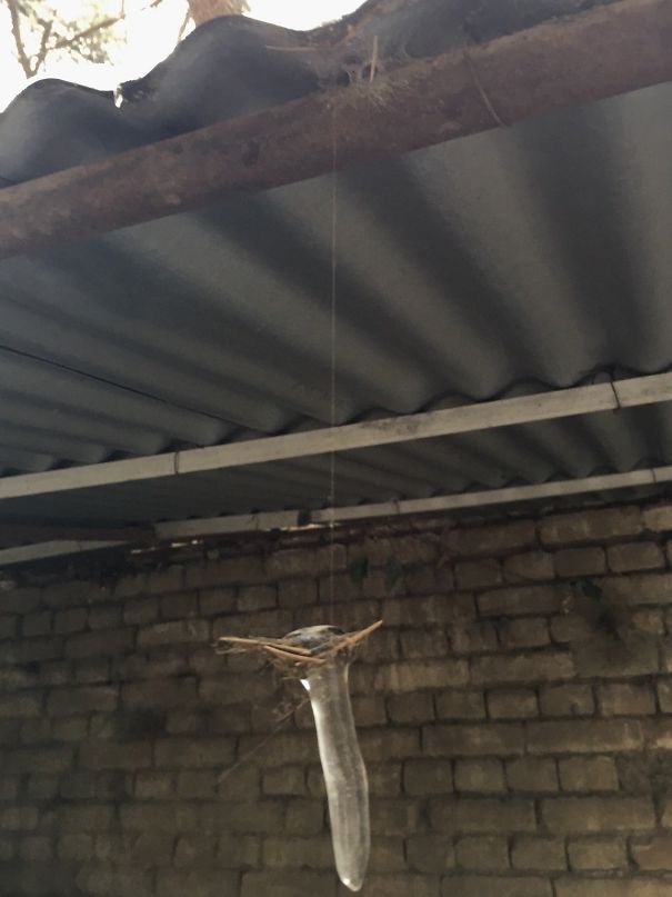 Found An Icicle Held Only By A Spider's Web