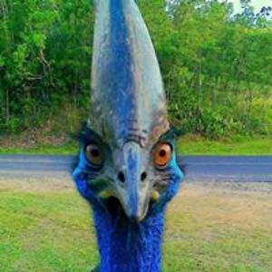 goldprospector_2001 avatar