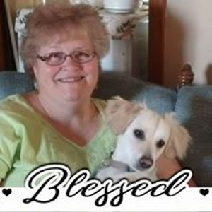 melodyskidgel avatar