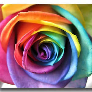 luluhuffington avatar