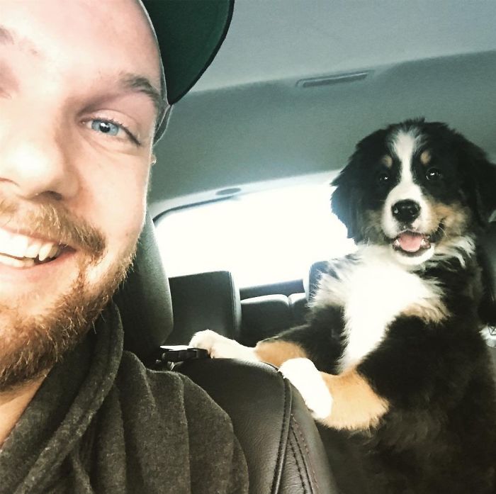 Smiling man in a car with one of the cutest puppies, a fluffy Bernese Mountain Dog, by his side.
