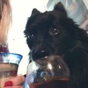 gilda_farrell avatar