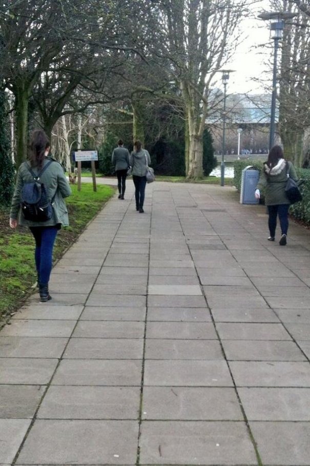 They're Multiplying!