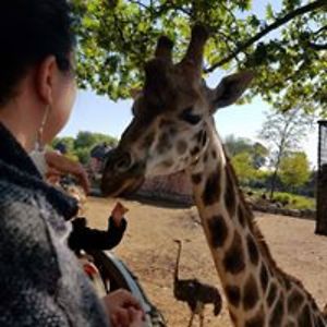 vanhoylandtlotte avatar