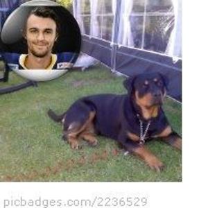 johnny_sagemar avatar