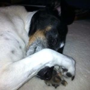 courtneyjanethornton avatar