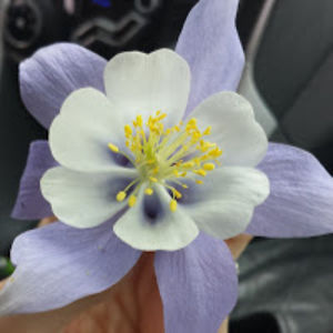 thatrandomperson avatar