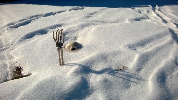 Walking Around My Neighborhood; Somebody Forgot Their Halloween Decoration