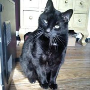 ratifi-mars-name avatar