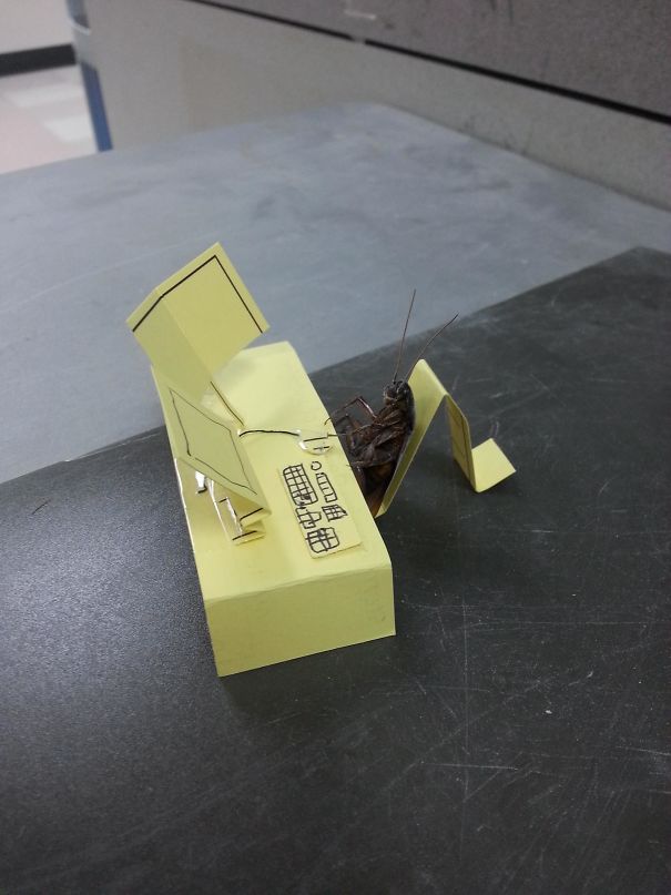 My Co-Workers Have Way Too Much Time On Their Hands