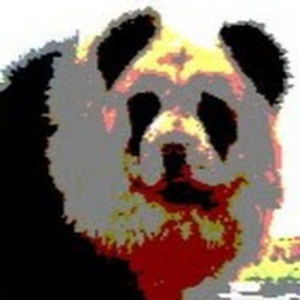 zaidadowalter avatar