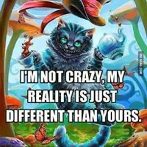 cellekleinmeulman avatar