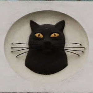 victoriajanehay avatar