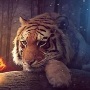 rolltidejoewalker avatar