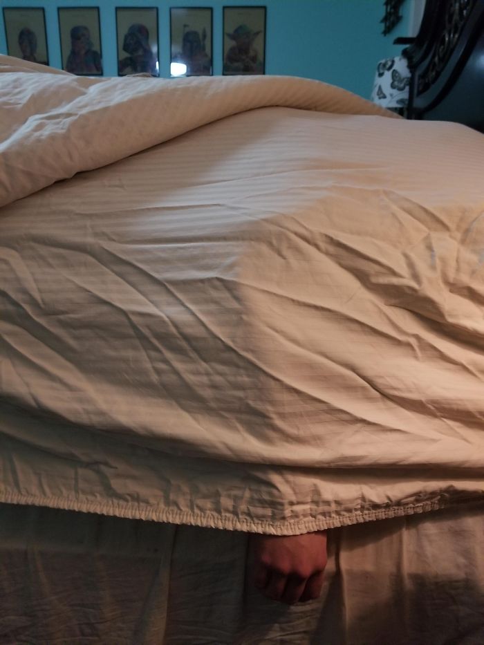 I Fell Asleep So My Husband Made The Bed Over Me. I Can't