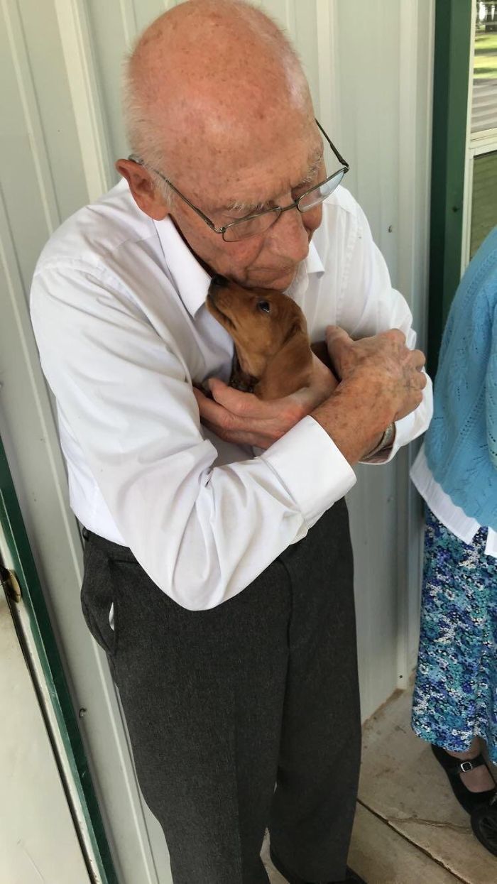 Elderly man hugging one of the cutest puppies, a small brown dog, indoors.