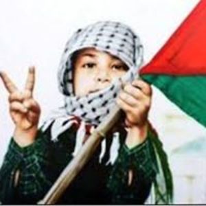 silviu600silviu600silviu600 avatar