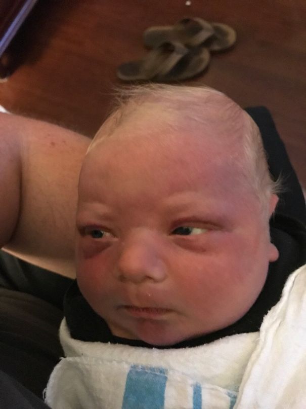 Not Amused In The Slightest