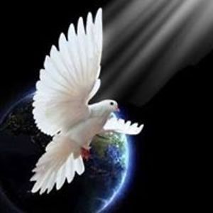 jgoganolivier avatar