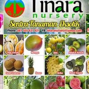 tinaranursery avatar