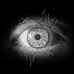 allysongoddard avatar