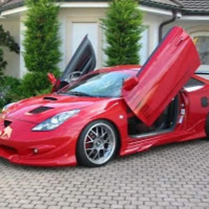 anetanesvarbu avatar