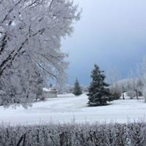 bonitamariaryan avatar