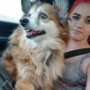 panda_bubblez21 avatar