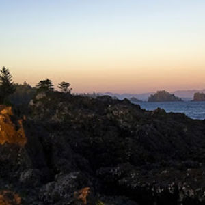 amirrezaforouzan avatar