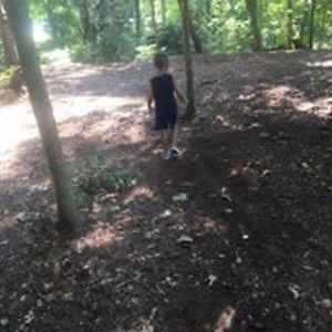 mccrearyjulia avatar