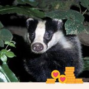 wendewellspring_1 avatar