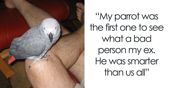 Tumblr Users Share Hilariously Unbelievable Encounters That Prove Parrots Have Sense Of Humor