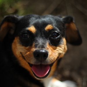 jumper_wumper avatar