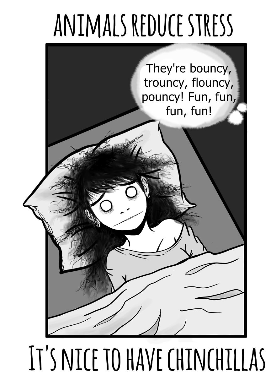 Emotional Support Animals