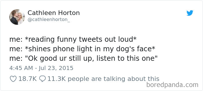 Hilarious-Dog-Tweets