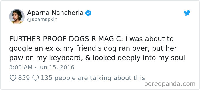 Hilarious-Dog-Tweets