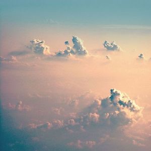 lisachambers2018 avatar