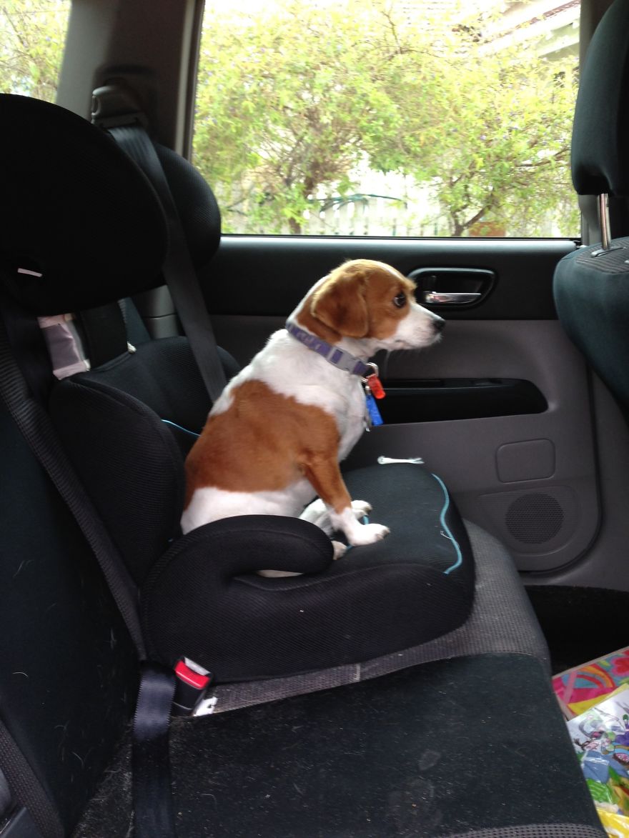 Abandoned At 4 Months Abandoned At 4 Months