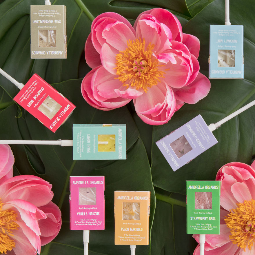 Here Is How You Can Save The Planet By Eating Lollies Here Is How You Can Save The Planet By Eating Lollies