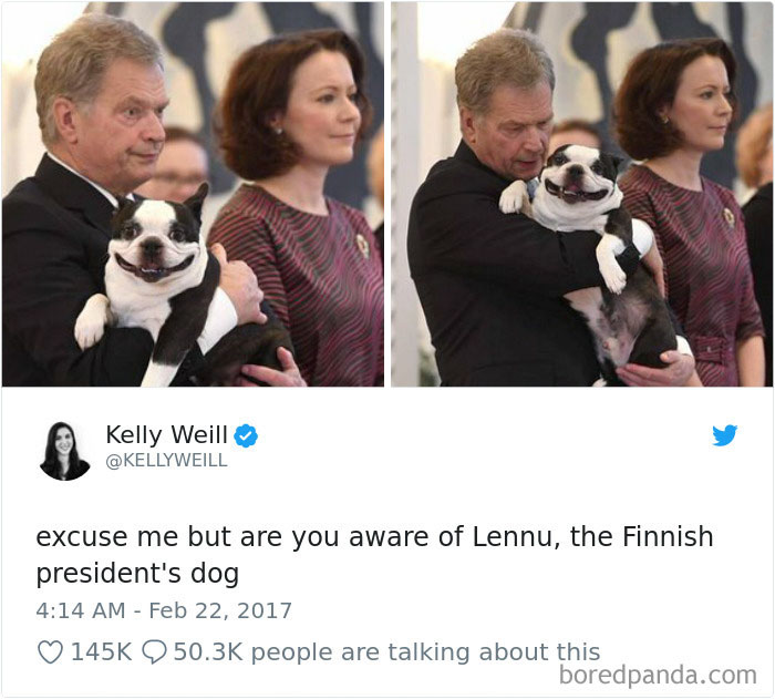 Hilarious-Dog-Tweets