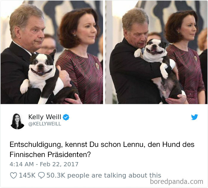 Hilarious-Dog-Tweets