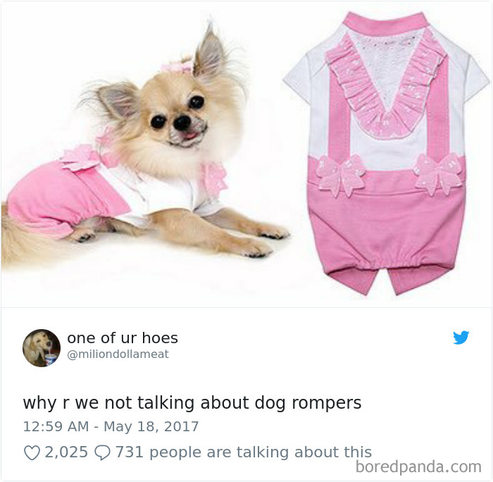 Hilarious-Dog-Tweets