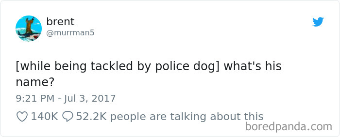 Hilarious-Dog-Tweets