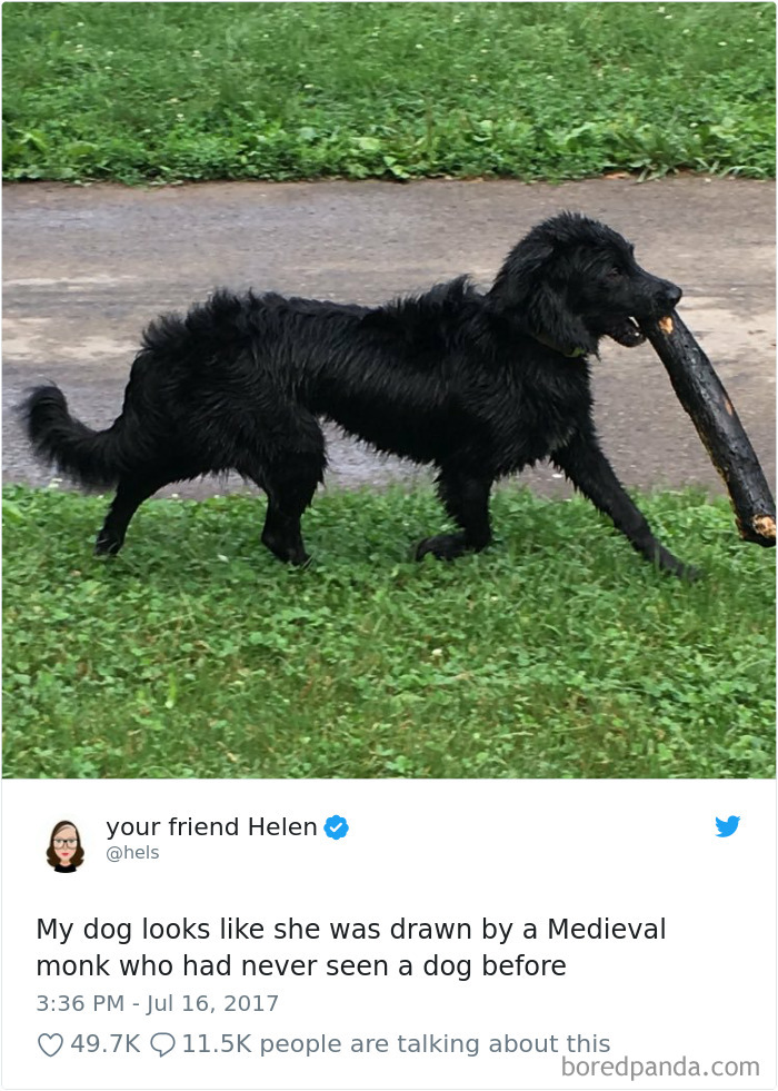 Hilarious-Dog-Tweets