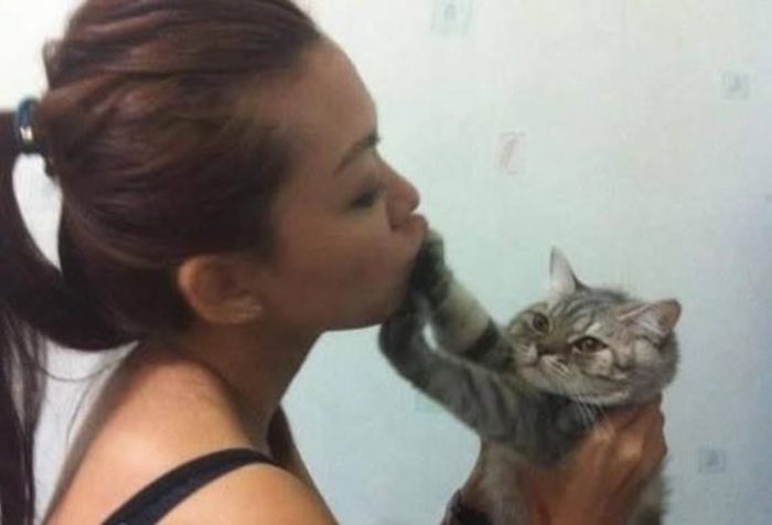 20 Animals That Are Better At Selfies Than You Are 20 Animals That Are Better At Selfies Than You Are