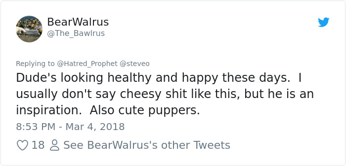 Steve-O Found A Stray Dog On The Streets Of Peru, Washed Her And They Became Best Friends